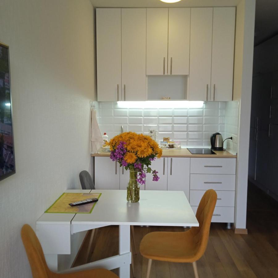 Roshka Apartment 307 Гудаурі Екстер'єр фото